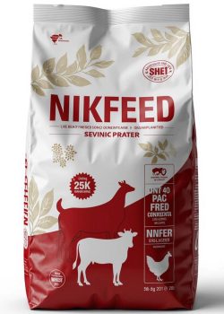 photo_۲۰۲۵-۱۲-۰۲_۱۳-۲۶-۲۳